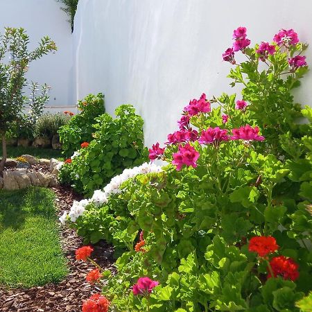 Pateo Dos Oliveira - Casa Da Cocheira Apartman Évora Kültér fotó